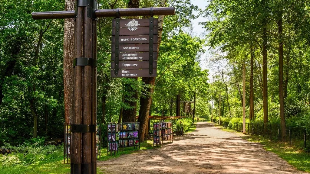 Проект благоустройства территории городского дендропарка г. Ногинска «Волхонка»